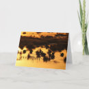Search for marsh cards Waterfowl