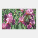Search for irises stickers Floral