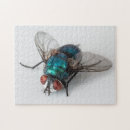 Search for flying bugs Funny