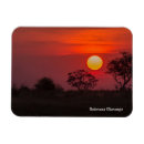 Search for botswana magnets Okavango