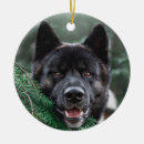 Search for akita christmas tree decorations Pet