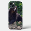 Search for dangerous animals electronics Big