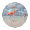 Search for flamingo chopping boards Beach