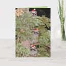Search for no peeking christmas cards Santa