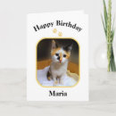 Search for black kitten birthday cards Pet