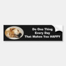 Search for labrador bumper stickers Labs