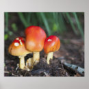 Search for edibles art Forest
