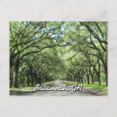 Search for plantation postcards Georgia