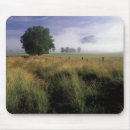 Search for cades cove electronics Field
