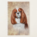 Search for spaniel office supplies Animals