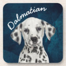 Search for dalmatians coasters Pets