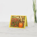 Search for friend of corn cards Friends