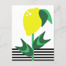 Search for lemons postcards Modern