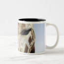 Search for zoo photo mugs Giraffe