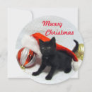 Search for cute pet photo cards Kitten
