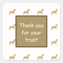 Search for veterinary care stickers Pet business