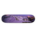 Search for scenic skateboards Snow