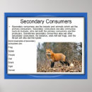Search for consumers Education