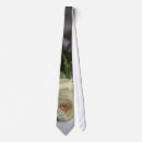 Search for closeup ties Photography