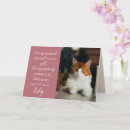 Search for death pet sympathy cards Rainbow bridge