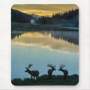 Search for elk mousepads Lake