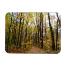 Search for trails magnets Nature