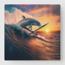 Search for dolphin clocks Sunrise