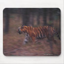 Search for conception mousepads Horizontal