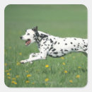 Search for blurred motion stickers Speed
