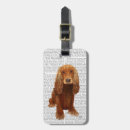 Search for cocker spaniel accessories Contemporary