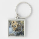 Search for giraffe images key rings Animals