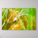 Search for cuddly art Furry