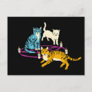 Search for cult postcards Vintage