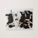 Search for harlequin great dane Animal