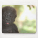 Search for gorilla mousepads Nature