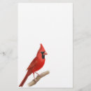 Search for cardinal stationery paper Wildlife