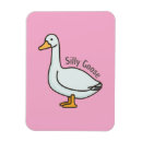 Search for silly magnets Goose