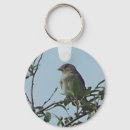Search for branch key rings Sparrow