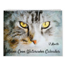 Search for maine calendars Maine coon cat