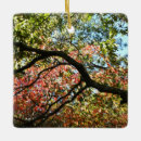 Search for autumn christmas tree decorations Photography