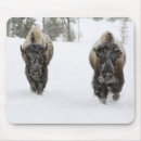 Search for wild one mousepads Nature