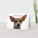 Search for another birthday cards Dog