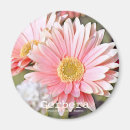 Search for gerberas magnets For her