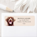 Search for chocolate lab return address labels Modern