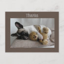 Search for french bulldog thank you cards Frenchy