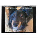 Search for rescue dog calendars Sheepdog