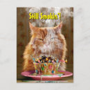 Search for humorous birthday invitations Cat