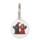 Search for dachshund dog tags Puppy