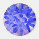 Search for glory magnets Flowers