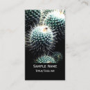 Search for cactus photography Plants